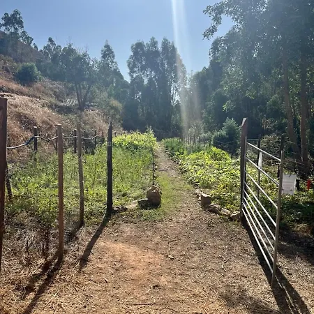 Off-grid Yurt With Spectacular Views In The Algarve Countryside Casa de Férias *