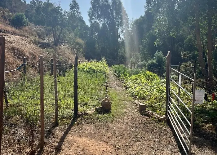 Off-grid Yurt With Spectacular Views In The Algarve Countryside Casa de Férias *